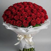 Букет 101 Красная роза Блэк Мэджик в Давыдовке