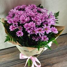 Букет цветов из:  Хризантемы #REPLACE_PRED# Давыдовке