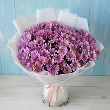 Букет цветов из:  Хризантемы в Давыдовке