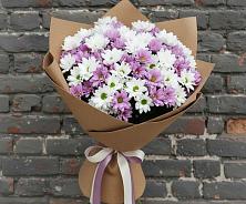 Букет цветов из:  Хризантемы #REPLACE_PRED# Давыдовке