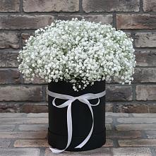 Цветочная композиция из Гипсофила в шляпной коробке в Давыдовке
