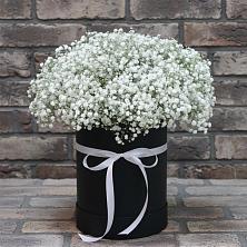 Цветочная композиция из Гипсофила в шляпной коробке в Давыдовке