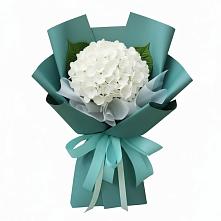 Букет цветов из:  Гортензия в Давыдовке
